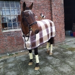 Eskadron / Hibiscus-Toffee-Banana-Espresso-Blue-White