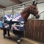 Eskadron / NG Baltic-Neongreen-Rose-Neonpink-Denim-Navy-Anthra-White