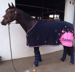 Eskadron / NG Baltic-Neongreen-Rose-Neonpink-Denim-Navy-Anthra-White