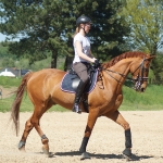 Eskadron / NG Baltic-Neongreen-Rose-Neonpink-Denim-Navy-Anthra-White