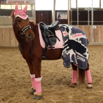 Eskadron / NG Baltic-Neongreen-Rose-Neonpink-Denim-Navy-Anthra-White