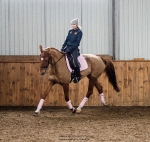 Eskadron / NG Baltic-Neongreen-Rose-Neonpink-Denim-Navy-Anthra-White