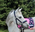 Eskadron / NG Baltic-Neongreen-Rose-Neonpink-Denim-Navy-Anthra-White