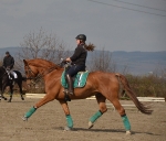 Eskadron / Darknavy-Pink-Smaragdgreen-Orange-White