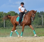 Eskadron / Darknavy-Pink-Smaragdgreen-Orange-White