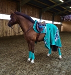 Eskadron / Darknavy-Pink-Smaragdgreen-Orange-White