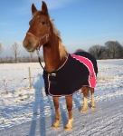 Eskadron / Darknavy-Pink-Smaragdgreen-Orange-White