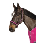 Eskadron Classic Frühjahr/Sommer 2015 