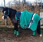 Eskadron / Darknavy-Pink-Smaragdgreen-Orange-White