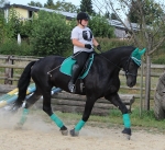 Eskadron / Darknavy-Pink-Smaragdgreen-Orange-White