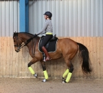 Eskadron / NG Lightgrey-Olive-Caviar-Lime-Cyan-Camouflage-White