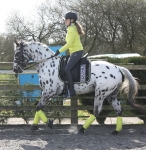 Eskadron / NG Lightgrey-Olive-Caviar-Lime-Cyan-Camouflage-White