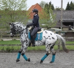 Eskadron / NG Lightgrey-Olive-Caviar-Lime-Cyan-Camouflage-White