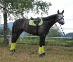 Eskadron / NG Lightgrey-Olive-Caviar-Lime-Cyan-Camouflage-White