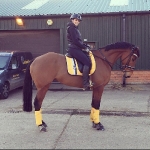 Eskadron / Freshberry-Mango-Mintgreen-Skyblue-Navy-Leaf Green-White