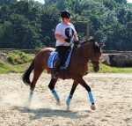 Eskadron / Freshberry-Mango-Mintgreen-Skyblue-Navy-Leaf Green-White