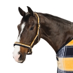 Eskadron Classic Frühjahr/Sommer 2016