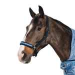 Eskadron Classic Frühjahr/Sommer 2016