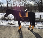 Eskadron / Freshberry-Mango-Mintgreen-Skyblue-Navy-Leaf Green-White