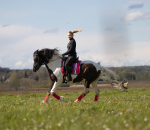 Eskadron / Freshberry-Mango-Mintgreen-Skyblue-Navy-Leaf Green-White