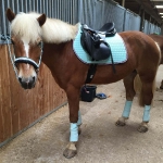 Eskadron / NG Navy-Ice-Pink-Anthra Melange-White