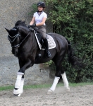 Eskadron / Chocochip-Offwhite-Powderrose-Midgreen-Navy-Pepperred-White