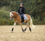 Eskadron / NG Anthracite-Grenadine-Lightgrey-Smokedblue-White