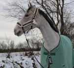 Eskadron / NG Anthracite-Grenadine-Lightgrey-Smokedblue-White