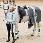 Deepblue-Jade-Steelgrey-Sunrise-White