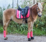 Eskadron / Blanc-Fusion Coral-Navy-Seapine Green