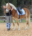 Eskadron / Brown-Coolgrey-Navy-Papaya-Skyblue