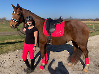 Eskadron / Reflexx Black-Lightolive-Pink-White