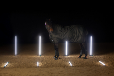 Eskadron / Dynamic Black-Deep Green-Poppy Red-White