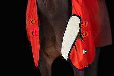 Eskadron / Dynamic Black-Deep Green-Poppy Red-White