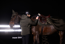 Eskadron / Dynamic Black-Deep Green-Poppy Red-White