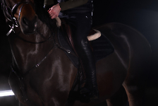 Eskadron / Dynamic Black-Deep Green-Poppy Red-White