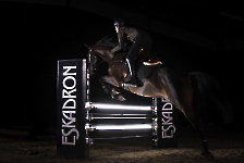 Eskadron / Dynamic Black-Deep Green-Poppy Red-White