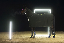 Eskadron / Dynamic Black-Deep Green-Poppy Red-White