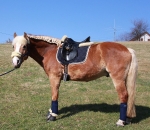 Eskadron / Kitt-Marine