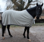 Eskadron / Kitt-Marine