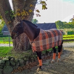 Eskadron / Schoko-Dunkelorange-Hellorange