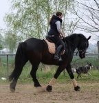 Eskadron / Deepblue-Nougat-Marzipan-Creme