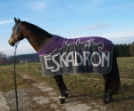Eskadron / Lavender-Stone-Turf