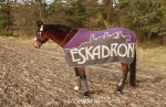Eskadron / Lavender-Stone-Turf