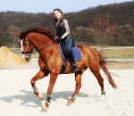 Eskadron / Navy-Green-Grey-White-Lightblue