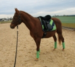 Eskadron / Navy-Green-Grey-White-Lightblue