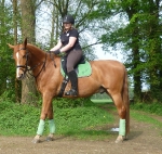 Eskadron / Navy-Green-Grey-White-Lightblue