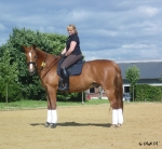 Eskadron / Navy-Green-Grey-White-Lightblue