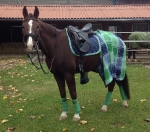 Eskadron / Navy-Green-Grey-White-Lightblue