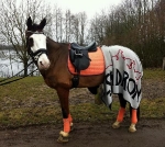 Eskadron / Coffee-Berry-Apricot-Vanilla